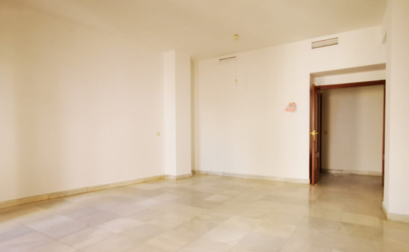 Piso en alquiler en Casco Antiguo de Sevilla - Apiburgos