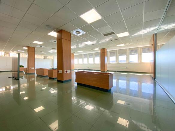 OFICINA VENTA ZONA SUR-PALMERA