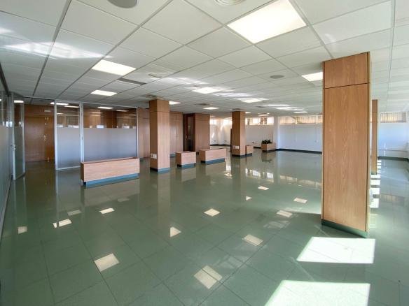 OFICINA VENTA ZONA SUR-PALMERA