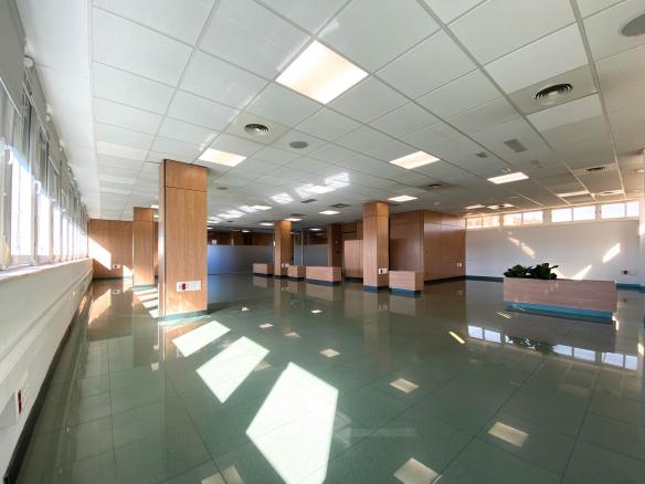 OFICINA VENTA ZONA SUR-PALMERA