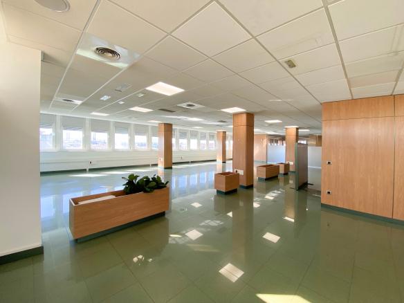 OFICINA VENTA ZONA SUR-PALMERA